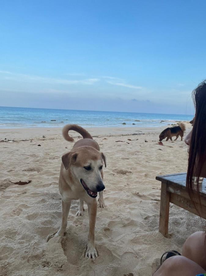 Sanctuary Lanta * Ko Lanta